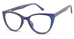 Berkeley monitor szemüveg CP113F