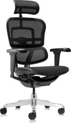 Antares Scaun ergonomic Antares - ERGOHUMAN ULTRA BLACK, negru (ERGOHUMAN-ULTRA-BLACK-BLACK)