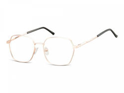 Berkeley ochelari protecție calculator 913F (C10N SO 913F 53) Rama ochelari