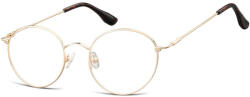 Berkeley ochelari protecție calculator 895E (C10N SO 895E 49) Rama ochelari