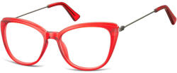 Berkeley ochelari protecție calculator CP121F (C10N SO CP121F 51) Rama ochelari