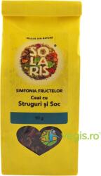 Solaris Ceai cu Struguri si Soc Simfonia Fructelor 90g