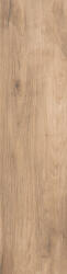 BIEN Gresie portelanata tip lemn, Picasso Tinder 1. 15x60 cm, maro, finisaj mat, 1.18mp cut (8697497099246)