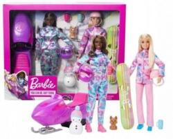Mattel Barbie sporturi de iarna set cu doua papusi HGM75 Papusa Barbie