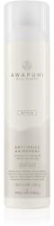 Paul Mitchell Awapuhi Wild Ginger Anti-Frizz Hairspray fixáló spray töredezés ellen 307 ml