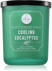 DW HOME Signature Cooling Eucalyptus lumânare parfumată 425 g