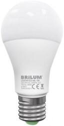 BRILUM LED Izzó LEDSTAR ECO A60 E27/15W/230V 4000K ZL-LE6015-40 (B3557)