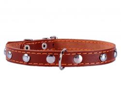 COLLAR Zgardă neagră decorată - 27 - 35cm, 14mm - maro