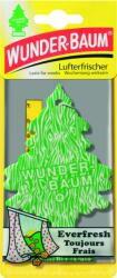 Wunder-Baum Everfresh ("örök frissesség" - wunderbaum)