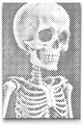  PontPöttyöző - Csontváz Méret: 40x60cm, Keretezés: Keret nélkül (csak a vászon), Szín: Piros