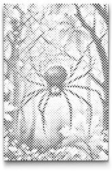  PontPöttyöző - Ijesztő pók Méret: 40x60cm, Keretezés: Műanyagtáblával, Szín: Piros