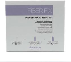 Fanola Fiber Fix Professional Intro Kit