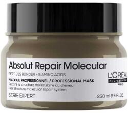 L'Oréal L'Oréal Professionnel Serie Expert Absolut Repair Molecular Mask 250 ml