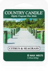 The Country Candle Company Citrus & Seagrass ceară pentru aromatizator 64 g