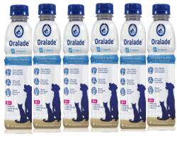  Livisto Livisto ORALADE GI SUPPORT 6x500 ML elektrolitok prebiotikummal kutyák és macskák számára