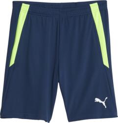 PUMA Sorturi Puma teamLIGA Training Shorts 2 (open pockets) 657667-54 Marime S (657667-54)