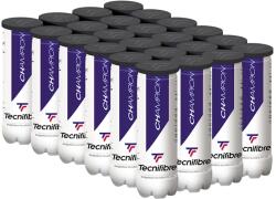 Tecnifibre Champion (72 db) teniszlabda (60CHAM364N72)