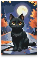  Festés számok szerint - Fekete macska ősszel Méret: 20x30cm, Keretezés: Keret nélkül (csak a vászon)