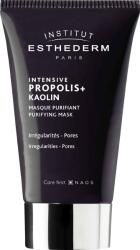 Esthederm Intensive Propolis + Kaolin Mask, mască purificatoare pentru pielea cu probleme, 75 ml