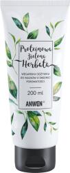  Anwen Protein Green Tea, balsam vegan pentru păr cu porozitate medie, 200ml