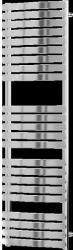 Mexen Bachus 1600x500 mm 679W (W109-1600-500-00-01)