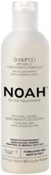 NOAH Sampon natural anti-yellow cu extract de afine 1.9 250 ml