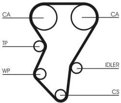 Continental Ctam Curea de distributie CONTINENTAL CTAM CT588 - centralcar
