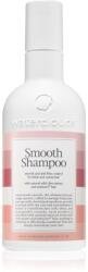 Waterclouds Smooth Shampoo kisimító sampon hajra a rakoncátlan és töredezett hajra 250 ml