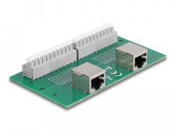 Delock RJ50 2 db. anya - 2 db. Terminal block nyomógombbal DIN sínhez (67014)