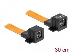 Delock RJ45 FPC (Flexibilis Nyomtatott Áramkör) ablakon átbújtató, 30 cm (87031)