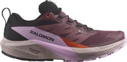 Salomon Pantofi trail Salomon SENSE RIDE 5 GTX W l47592300 Marime 42 EU (l47592300)