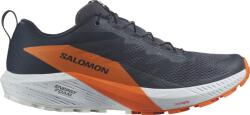 Salomon SENSE RIDE 5 GTX Terepfutó cipők l47459400 Méret 47, 3 EU