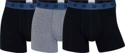 CR7 Basic 3pack Boxeralsók 8100-49-2751 Méret S