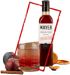 Mayer Fahéjas Szilvaszörp 0, 5l - italmindenkinek