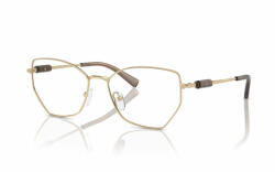 Giorgio Armani 1067-6110 Rama ochelari