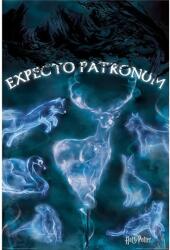 Harry Potter poszter - Patronus 61 x 91 cm