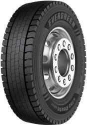 Evergreen EDL11 315/80R22, 5 156/153L 20PR
