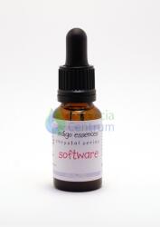  Program * Software
