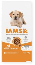 Iams Advanced Nutrition Puppy Junior Large Breed Chicken 12 kg