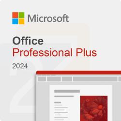 Microsoft Office 2024 Professional Plus (269-09050)