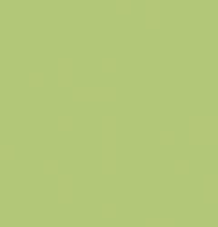 RAKO Burkolat Rako Color One light green 20x20 cm matt WAA1N465.1 (WAA1N465.1)