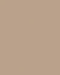 RAKO Burkolat Rako Color One bézses barna 20x20 cm matt WAA1N311.1 (WAA1N311.1)