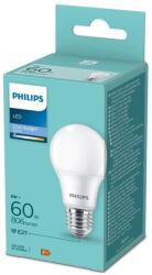 Philips LED Izzó Philips A60 E27/8W/230V 6500K 8720169253179 (P6350)