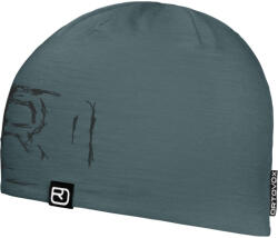 Ortovox 120 Tec Logo Beanie (OVX-67020DAG_OS)