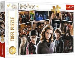 Trefl Harry Potter és barátai 160 db-os (15418)