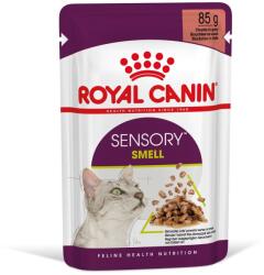 Royal Canin Sensory Smell gravy 24x85 g bucăți în sos pentru pisici adulte pentru a stimula experiența olfactivă