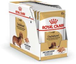 Royal Canin Jamnik Adult 48 x 85 g hrană umedă special pentru câini Dachshund adulți