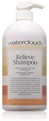 Waterclouds Relieve шампоан против пърхот 1000ml
