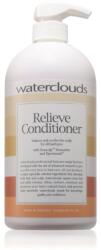 Waterclouds Relieve балсам за сияен блясък 1000ml