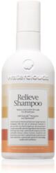 Waterclouds Relieve șampon anti matreata 250 ml